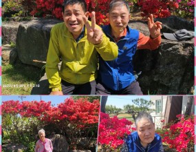 철쭉 향기