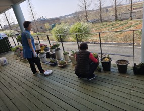 봄 맞이 화분갈이