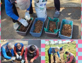 원예치료(보라 국화와 코스모스씨 파종)